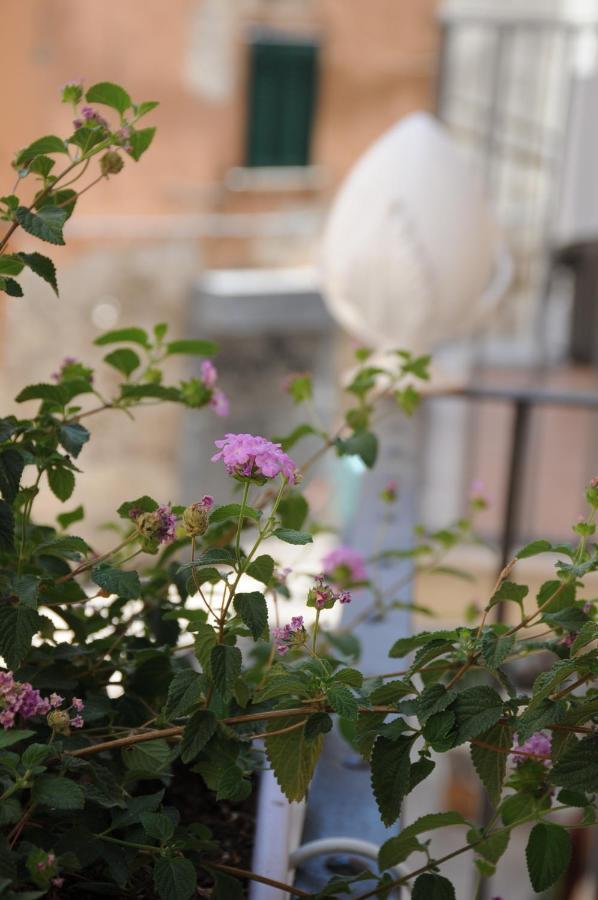 B&B Vin E Va Bari Extérieur photo